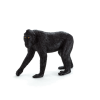 Mojo Schopfaffe