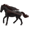 Mojo Pegasus schwarz