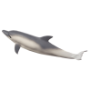 Mojo Delfin