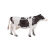Mojo Holstein-Kuh