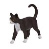 Mojo Katze schwarz und weiß