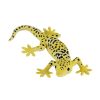 Mojo Leopardgecko