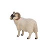 Mojo Hampshire-Bock