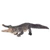 Mojo Alligator
