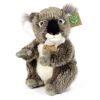 Rappa Plüsch Koala 22 cm ECO-FRIENDLY