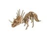 Woodcraft Hölzernes 3D Puzzle Triceratops