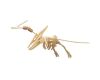 Woodcraft 3D Puzzle aus Holz Pteranodon