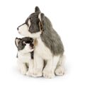 Rappa Plüsch-Wolf mit Welpe 27cm ECO-FRIENDLY