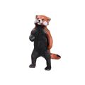 Mojo Westlicher Kleiner Panda