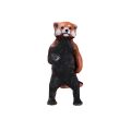Mojo Westlicher Kleiner Panda