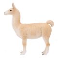 Mojo Llama