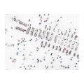Galison Doppelseitiges Puzzle Snow Gray Malin 500 Teile