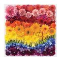 Galison Puzzle Regenbogen Blumen 500 Teile