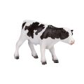 Mojo Holstein-Kalb stehend
