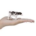 Mojo Holstein-Kalb stehend