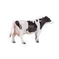 Mojo Holstein-Kuh
