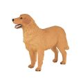 Mojo Golden Retriever