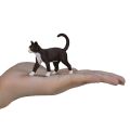 Mojo Katze schwarz und weiß