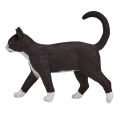 Mojo Katze schwarz und weiß