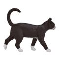 Mojo Katze schwarz und weiß