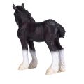 Mojo Shire Horse Fohlen