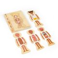 Bigjigs Toys Holzpuzzle Anatomie Mädchen