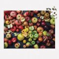 Galison Puzzle Apfel-Sorten 1000 Teile