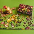 Galison Puzzle Apfel-Sorten 1000 Teile