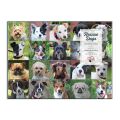 Galison Puzzle Nudeln 1000 Teile