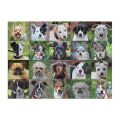Galison Puzzle Nudeln 1000 Teile