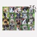Galison Puzzle Nudeln 1000 Teile