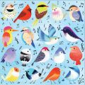 Mudpuppy Singing Birds Puzzle 500 Teile