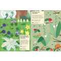 Chronicle Books Aktivitätsbuch mit meinen Naturaufklebern Im Wald