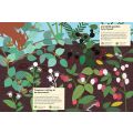 Chronicle Books Aktivitätsbuch mit meinen Naturaufklebern Im Wald