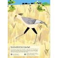Chronicle Books Activity Book mit Aufklebern Tiere der Savanne