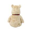 Rainbow Teddybär Puuh