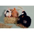 Doudou Histoire d'Ours Plüschhenne beige 20 cm