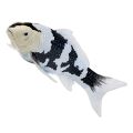 Mojo Koi Shiro Utsuri