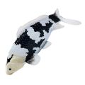 Mojo Koi Shiro Utsuri