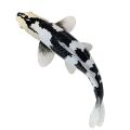 Mojo Koi Shiro Utsuri