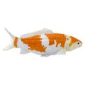 Mojo Karpfen Koi Ochiba Shigure