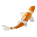 Mojo Karpfen Koi Ochiba Shigure