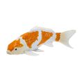 Mojo Karpfen Koi Ochiba Shigure