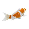 Mojo Karpfen Koi Ochiba Shigure