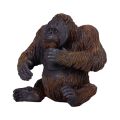 Mojo Orang-Utan