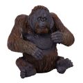 Mojo Orang-Utan