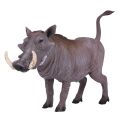 Mojo Savannah-Schwein
