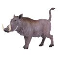 Mojo Savannah-Schwein