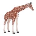 Mojo Giraffe Weibchen