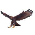 Mojo Adler
